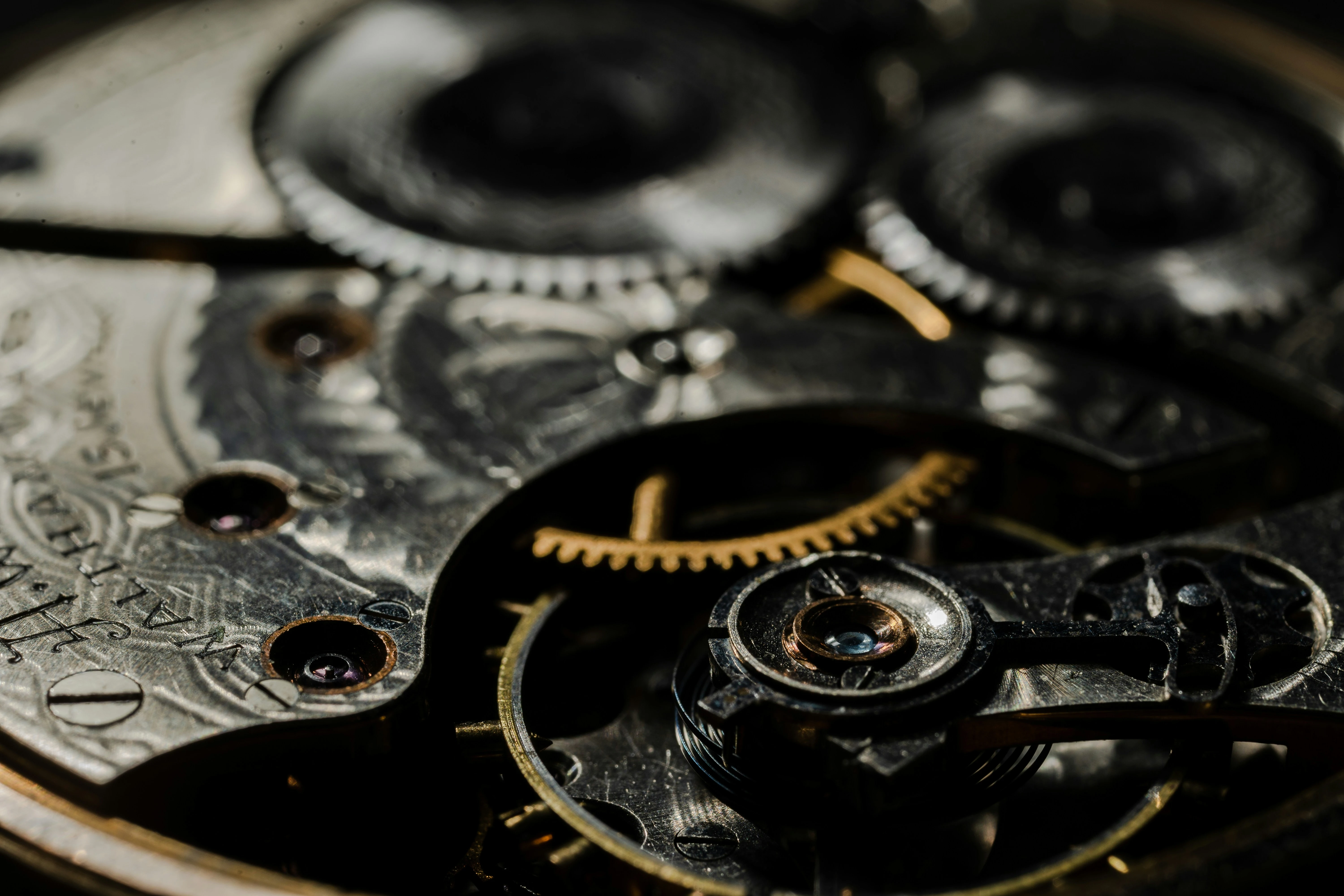Watch movement under loupe